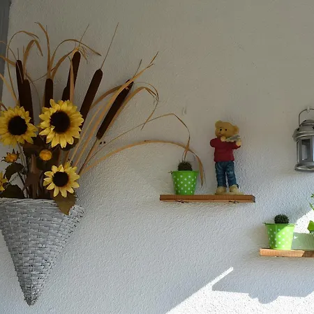 Apartment Sunshine Near Bridge Zadar Exterior photo